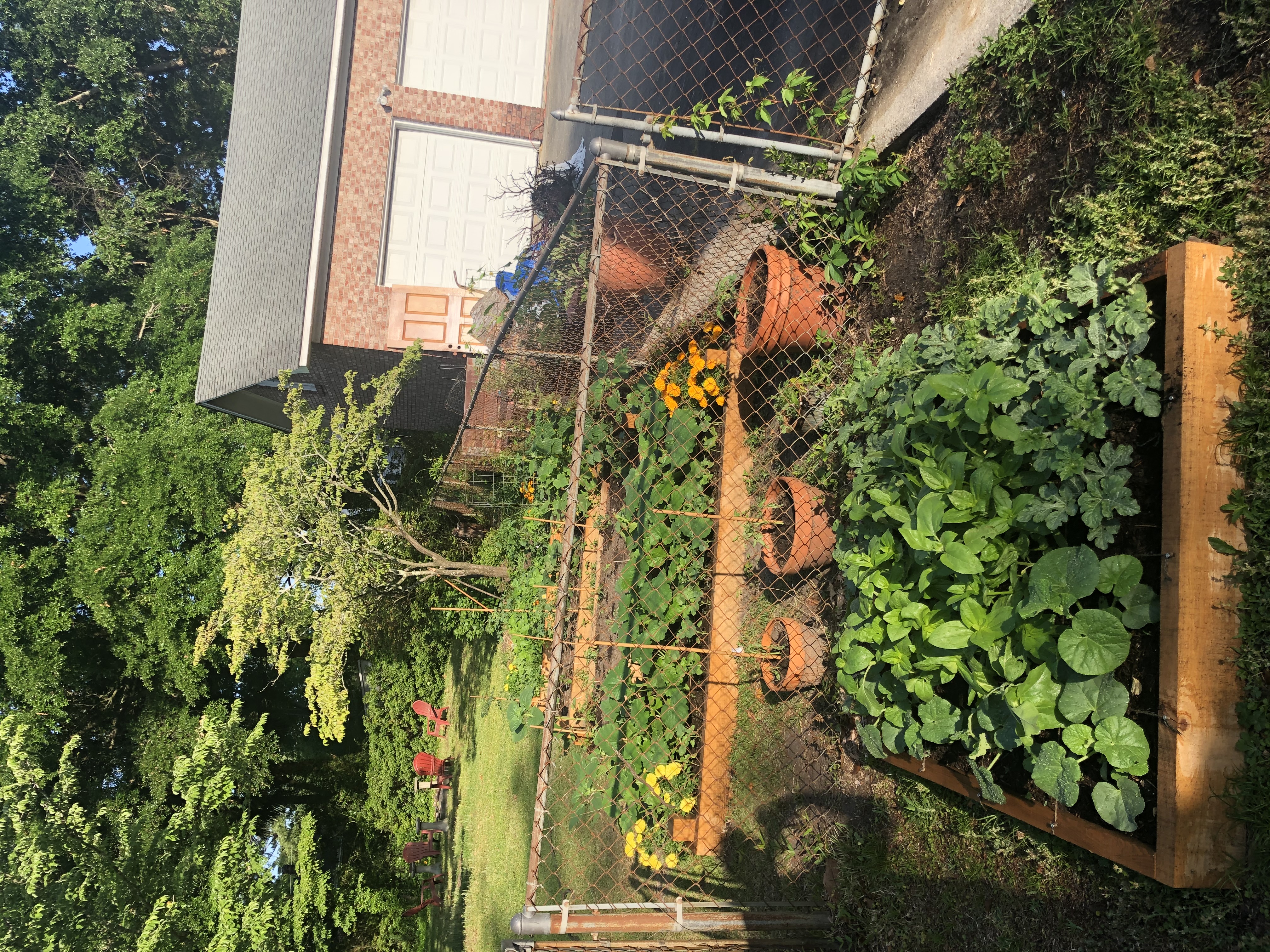Fence before