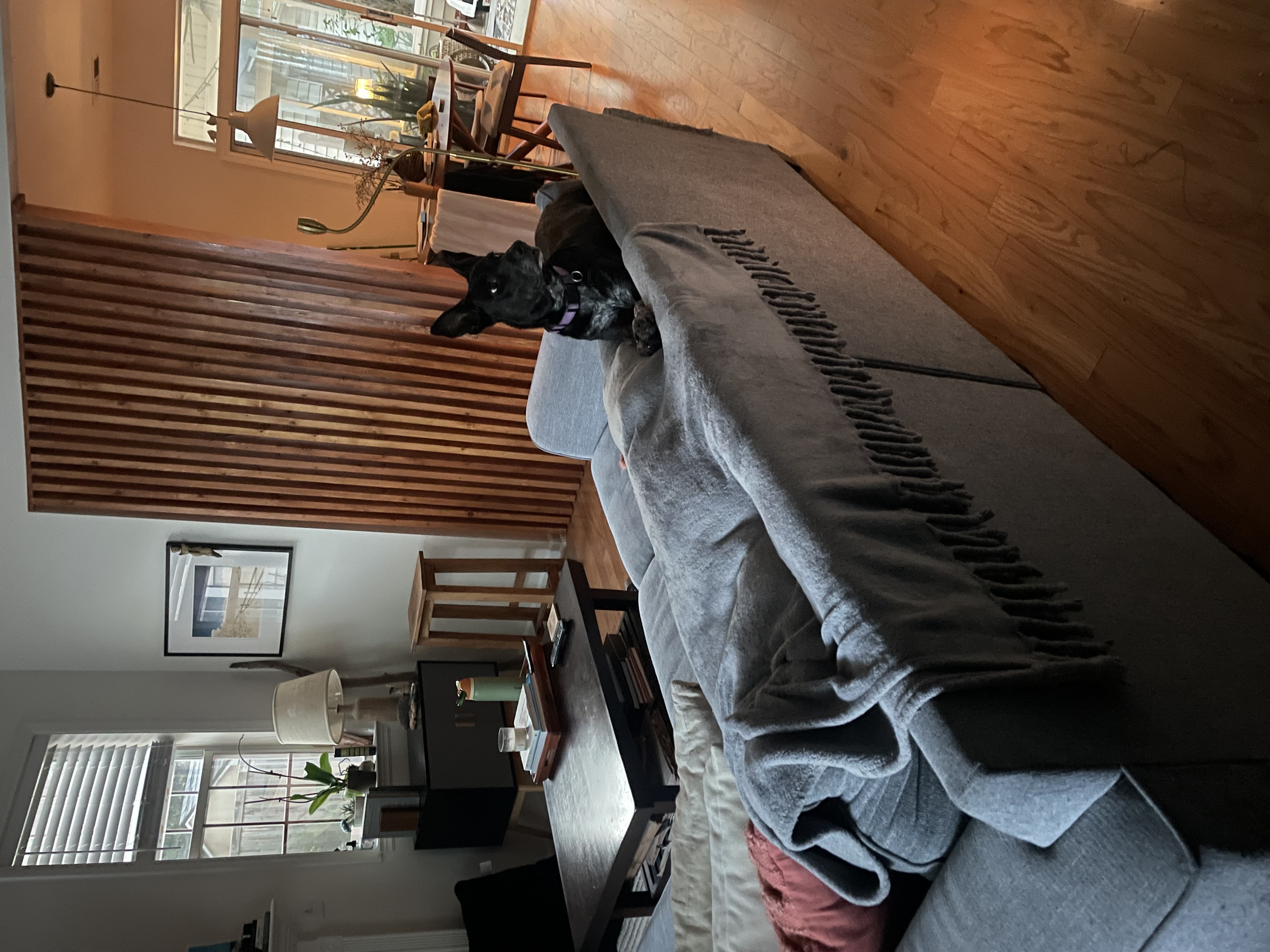 Slat wall in the lived-in room